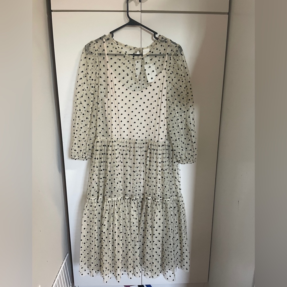 H&M Black Polka Dot Mesh Dress